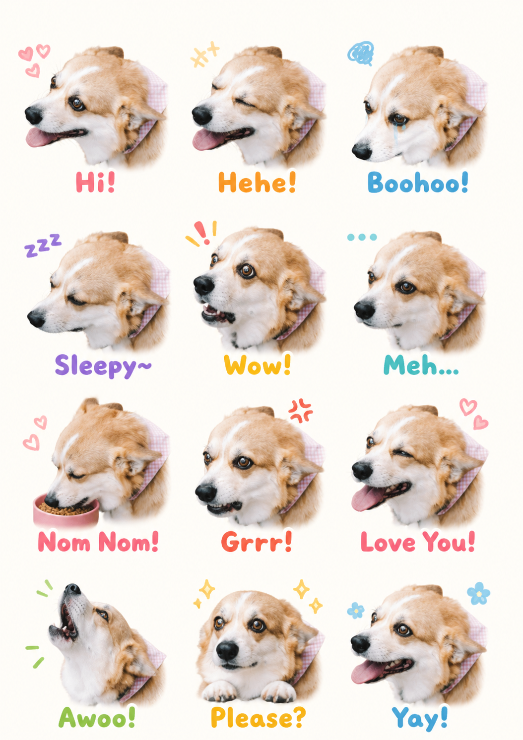 Pet sticker sheet